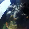 Eli Andrus - @eliandrus1 - TikTok