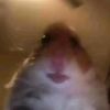Elio - @elioanthony - TikTok