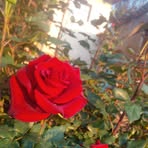 Eli Aquino - Facebook