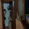 Elizabeth Arellano. - @eli._arellano - TikTok