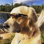 Eli Armstrong - @elionelionelion - Instagram