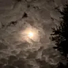 Eli Arnold🌾 - @eli.arnold00 - TikTok