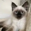 Eli - @eliaugustinecruspero - TikTok
