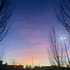 EliAvery4 - @eliiscool1238 - TikTok
