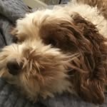Eli Babbitt - @eli.babbitt - Instagram