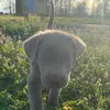 Eli Barber - @eli.barber2 - TikTok