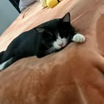 Eli Barrón - @eli_bape16 - Instagram