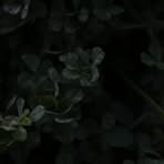 Eli Bass - Facebook