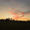 Eli Bass - @eli.bass70 - TikTok