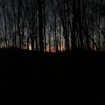 Elijah Basulto - @elijah_basulto - Instagram