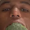 🐻 - @eli.tek.bayer - TikTok