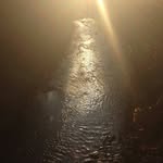 eli bayer - @elibayer45 - Instagram