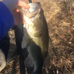 Eli Bearden - @eli_bearden_outdoors - Instagram
