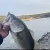 Eli Becerra - @eli.becerra87 - TikTok