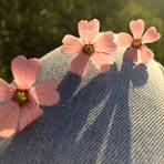 Eli Beltran - Facebook