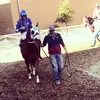 Eli Benavides20 - @elibenavides20 - TikTok