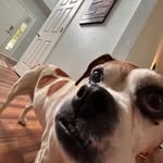 Eli Bender - @eli_bender_ - Instagram