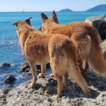 La Benderina - @bender_eli_ - Instagram