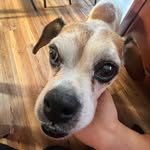 Rli Brndr - @eli_bender111 - Instagram