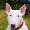 Eli Bennett - @eli.bennett942 - TikTok