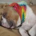 Eli Berry - Facebook