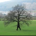 Eli Blackwell - @nature.junk.y - Instagram