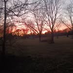 Eli Blackwell - @elithegoat123456 - Instagram