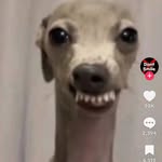 Eli Blake - @eli478491 - Instagram