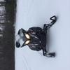 eliblanchard - @eliblanchard3 - TikTok