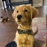 Eli Blanton - @eli_thegoldenboy - Instagram