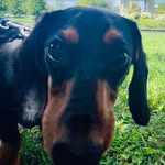 Eli Block - @eliblockingyou - Instagram
