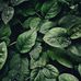 Eli Blockus - Facebook