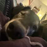 Elijah Bluestone-Weaver - @elibluestoneweaver_ - Instagram