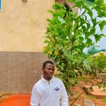 Eli Bobo - @elibobo3168 - Instagram