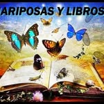 Elibocks - @mariposasylibros - Instagram