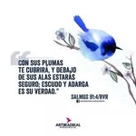 Dahiana Elibo de Silverio - @elibodesilverio - Instagram