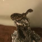 Eli Bolton - @eli_bolton2009 - Instagram