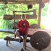 Eli Borges Rezende Rezende - Facebook