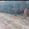 la Haute-Sônne - @eliotbourgeois402 - TikTok