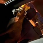 Eli Bowling - @bowling.eli - Instagram