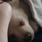 Eli Boyd - Facebook