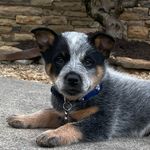 Henry - @henry_eli_bradley_ - Instagram