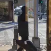 Eli Brandt - @elibrandt1 - TikTok