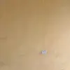 EVERYBODY LOVES IVY - @elibrand.ng - TikTok