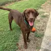 Eli Brewer - @eli.brewer85 - TikTok