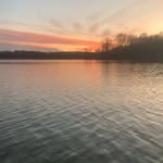 Eli Brewer - @elibrewer35 - Instagram