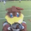 elibrewer - @elibrewer - TikTok