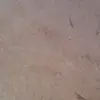 elana - @elisd.brockman - TikTok