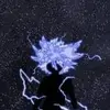 Eli Brockman - @eli.brockman - TikTok