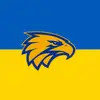 💙💛💙💛 - @elijah_brockman0 - TikTok